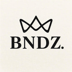 BNDZ logo